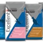 alimento de gatos excellent