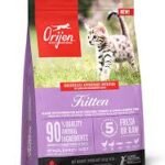 alimento de gatos orijen