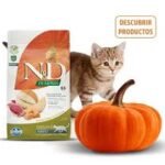 alimento para gatos N&D