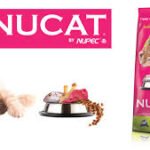 comida para gato nucat