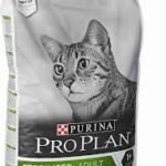 comida seca para gatos